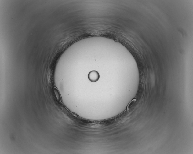 X0000111450219200907271237