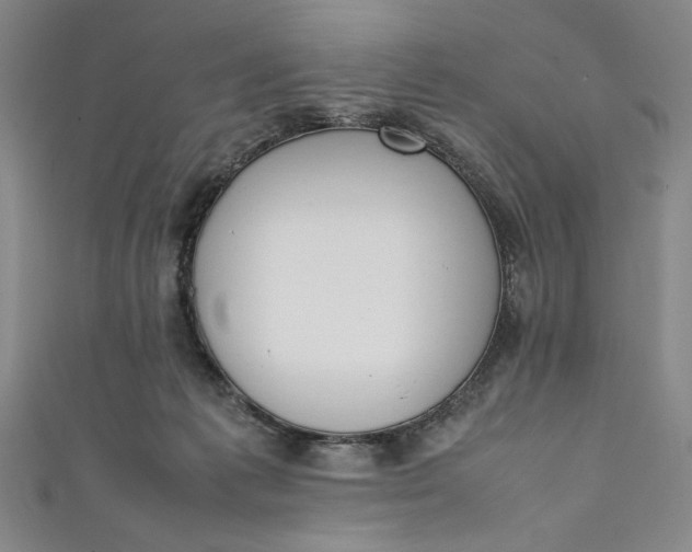X0000111450221200907271237