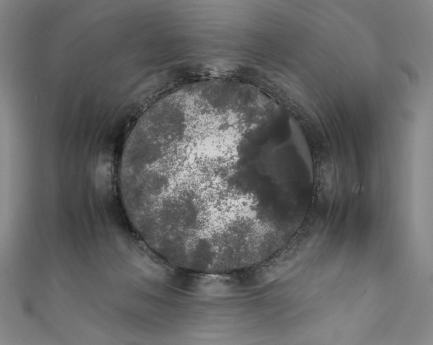 X0000111450222200907271237