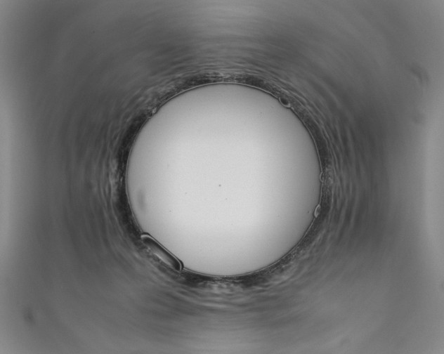X0000111450223200907271237