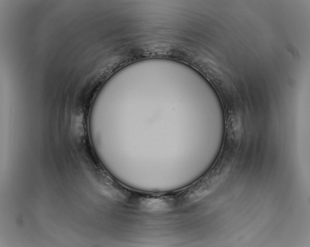 X0000111450224200907271237