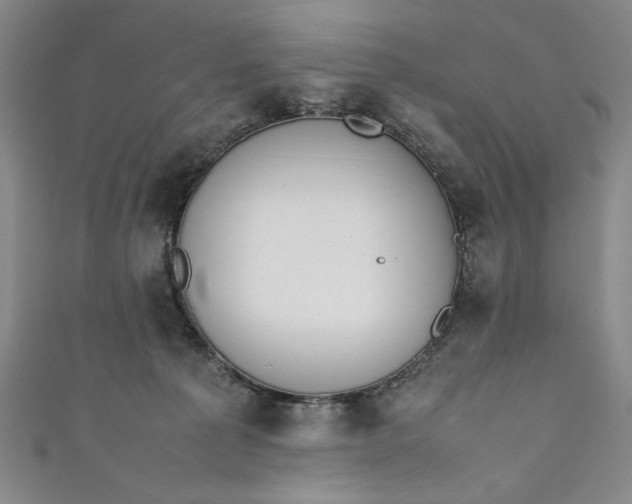 X0000111450225200907271237