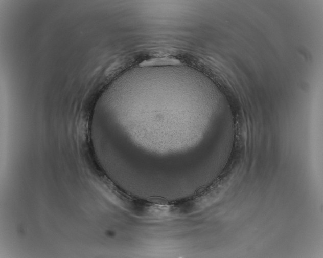 X0000111450227200907271237