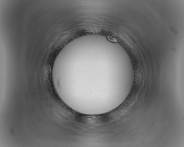 X0000111450229200907271237