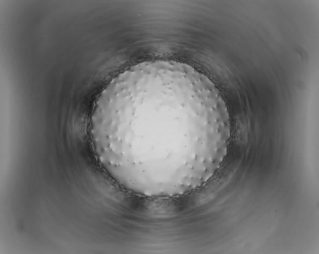 X0000111450230200907271237
