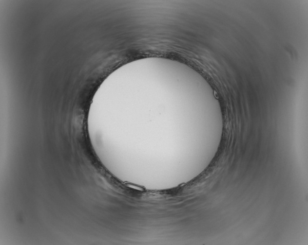 X0000111450231200907271237