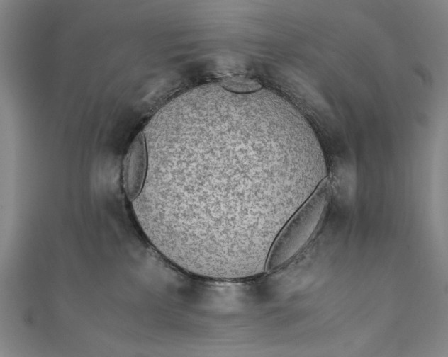 X0000111450233200907271237
