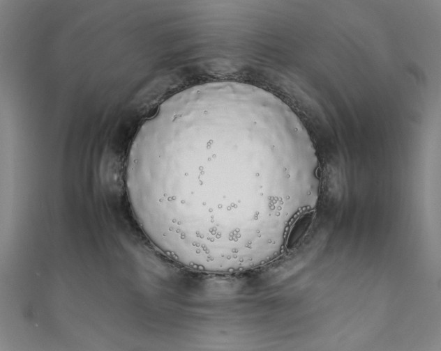 X0000111450234200907271237