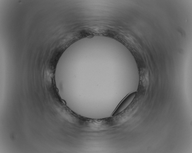 X0000111450235200907271237