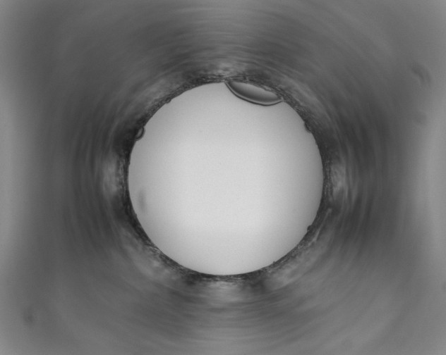 X0000111450236200907271237