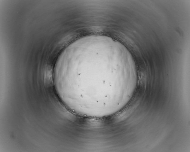 X0000111450238200907271237