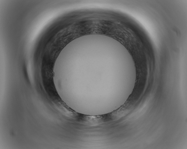 X0000111450239200907271237