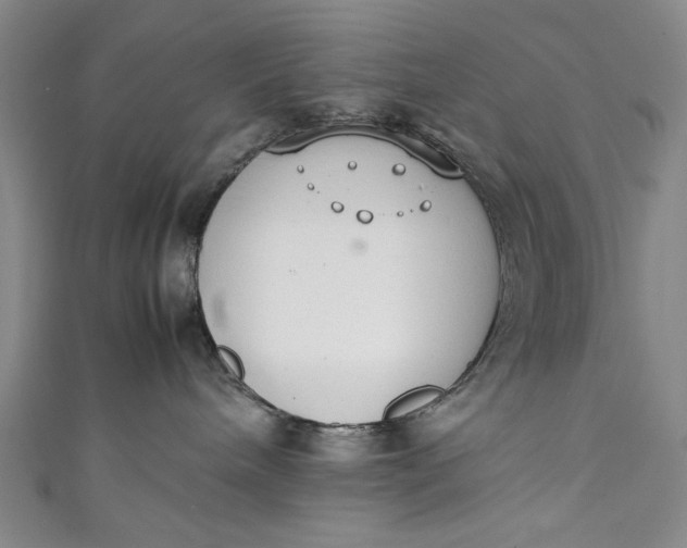 X0000111450240200907271237