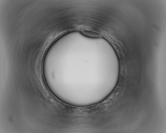 X0000111450241200907271236