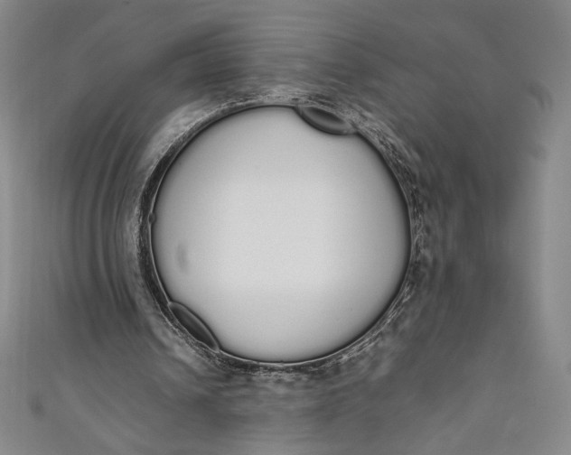 X0000111450242200907271236