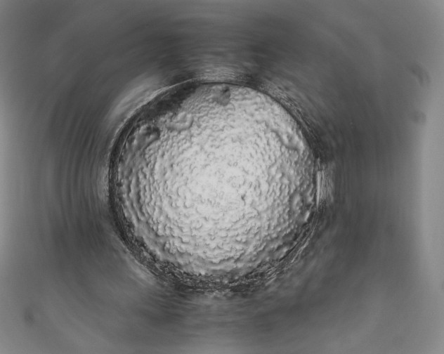 X0000111450243200907271236