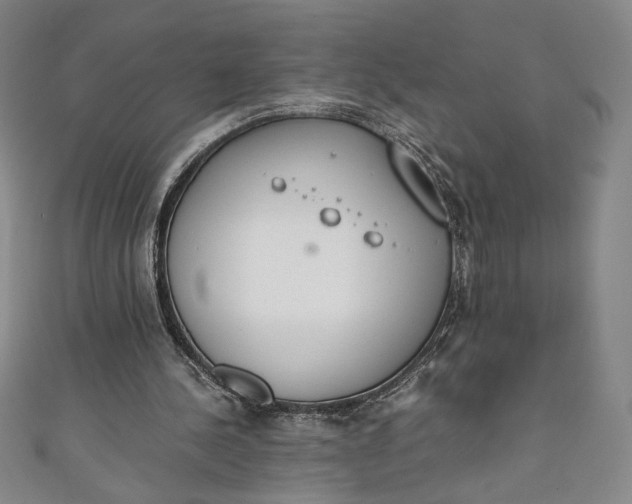 X0000111450244200907271236