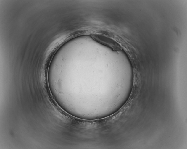X0000111450245200907271236