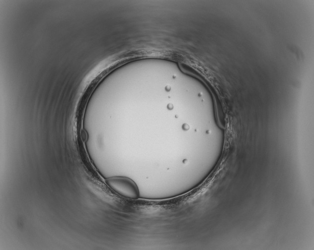 X0000111450246200907271236