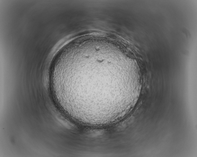 X0000111450247200907271236