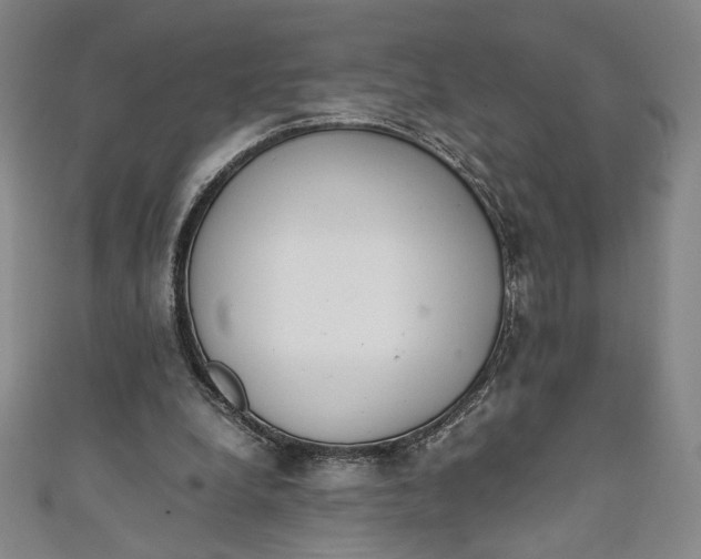 X0000111450248200907271236