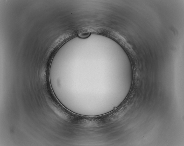 X0000111450250200907271236