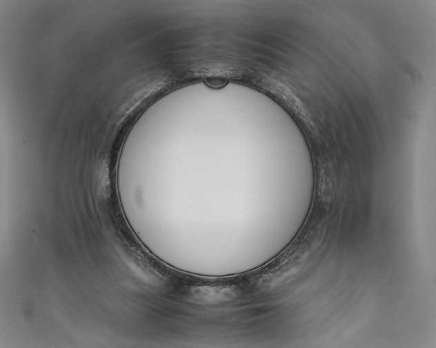 X0000111450251200907271236