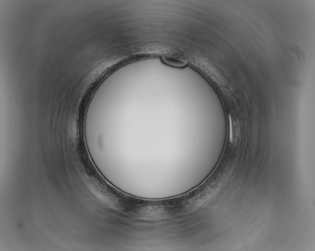X0000111450252200907271236