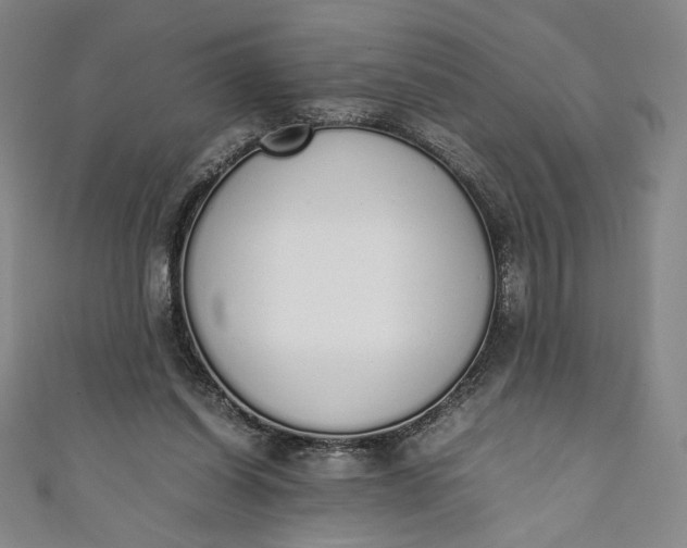 X0000111450254200907271236