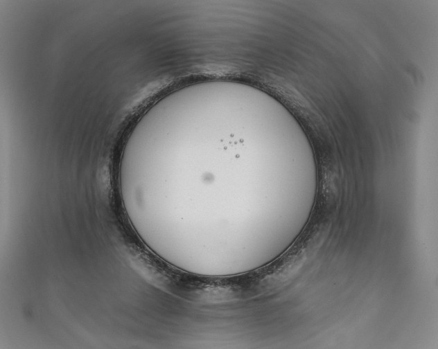 X0000111450256200907271236