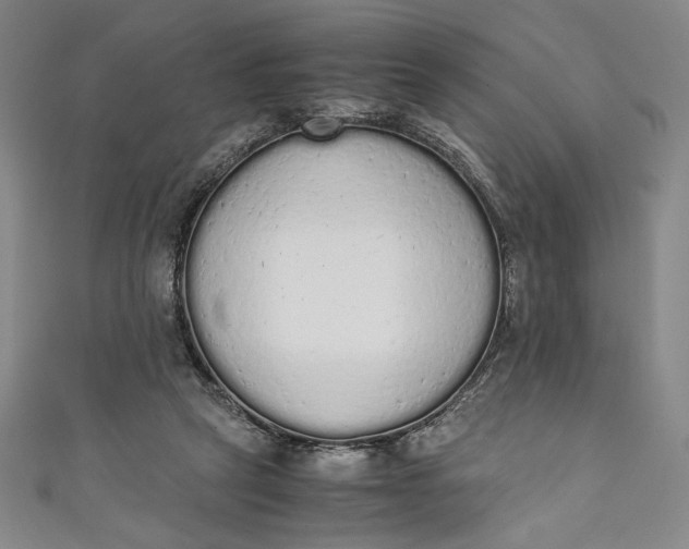 X0000111450257200907271236