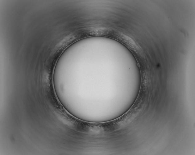 X0000111450258200907271236