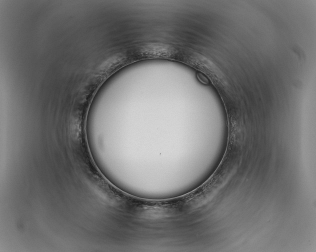 X0000111450259200907271236