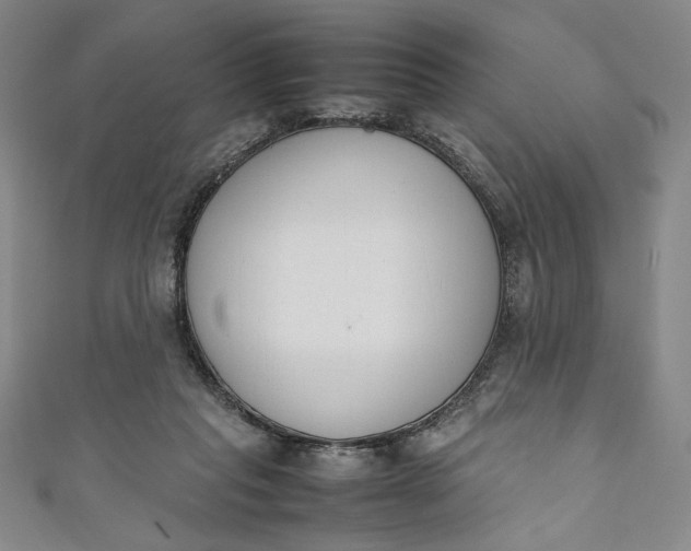 X0000111450261200907271236