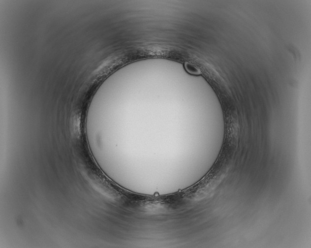 X0000111450262200907271237