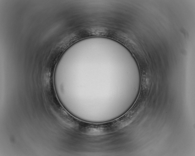X0000111450263200907271237