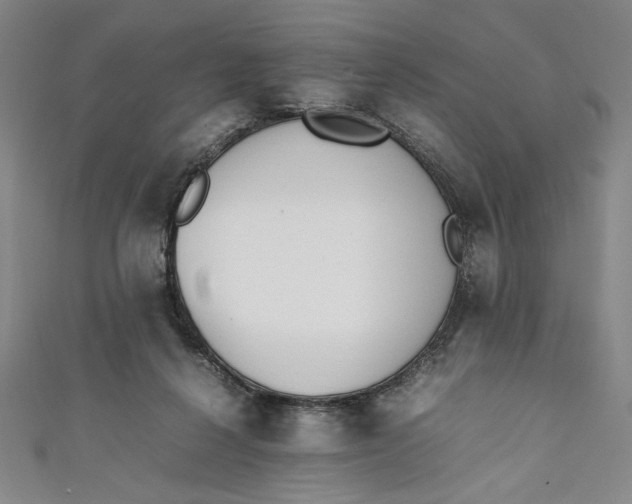 X0000111450264200907271237