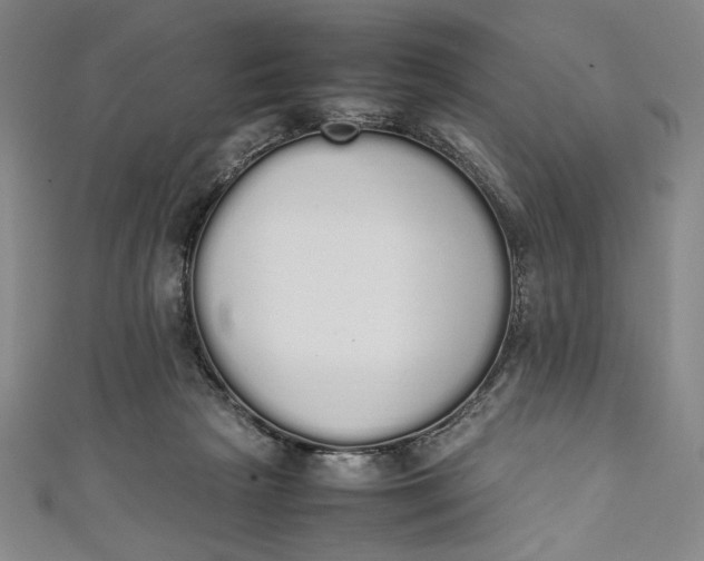 X0000111450265200907271237