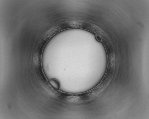 X0000111450266200907271237