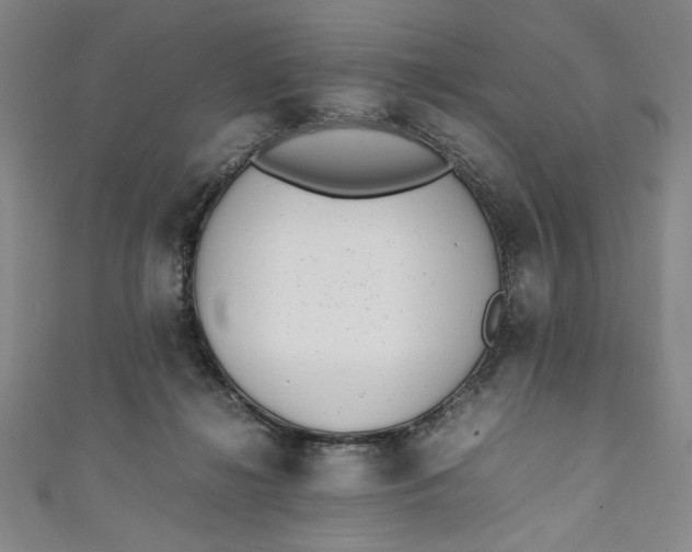 X0000111450268200907271237