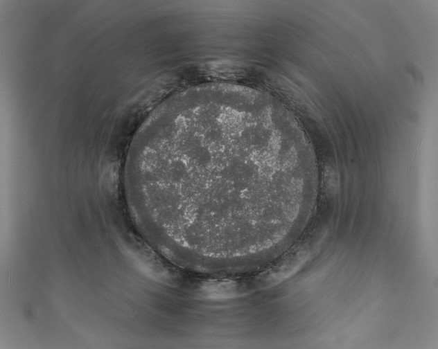 X0000111450271200907271237
