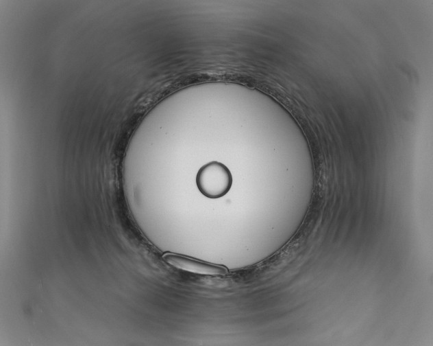 X0000111450272200907271237