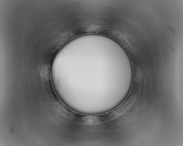 X0000111450273200907271237