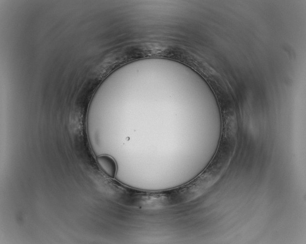 X0000111450274200907271237