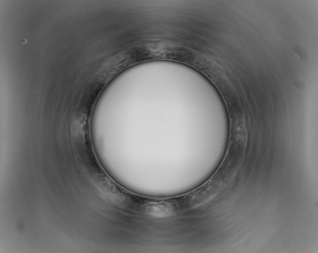 X0000111450275200907271237
