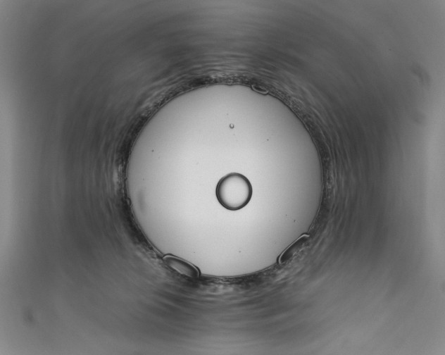 X0000111450276200907271237