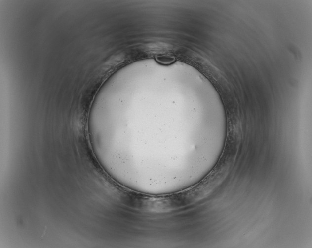X0000111450277200907271237
