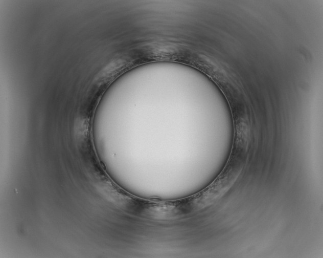 X0000111450278200907271237