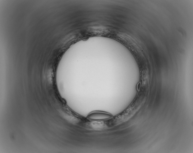 X0000111450279200907271237