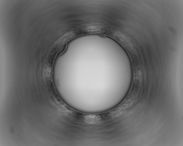X0000111450281200907271237